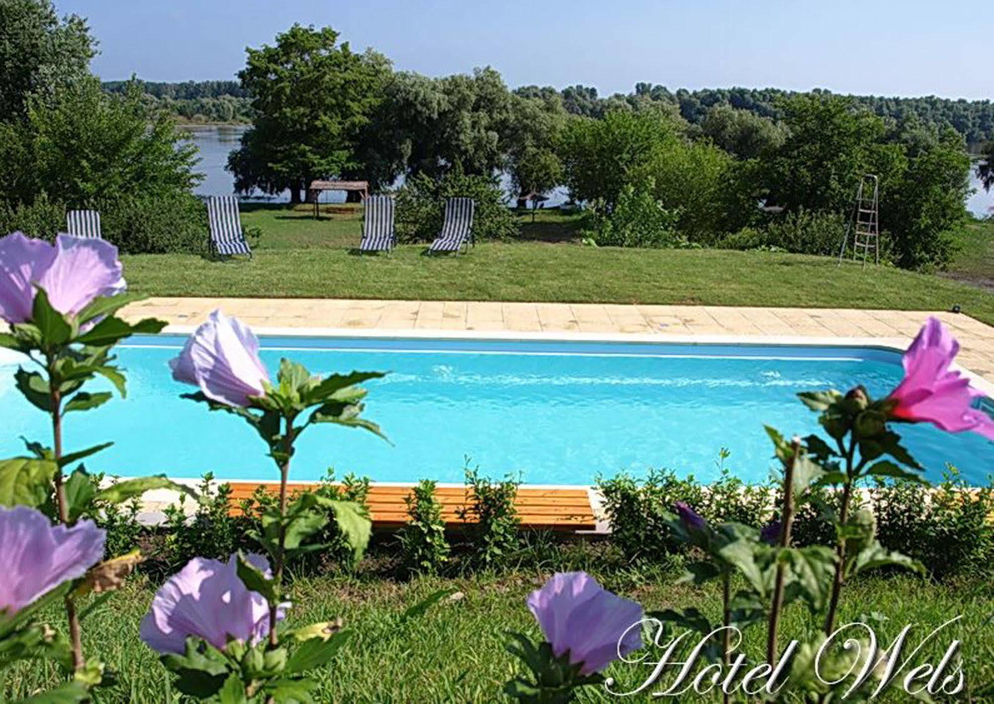 Hotel Wels Băltenii de Sus Buitenkant foto